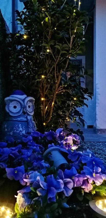 ホテル Residenza Al Castello Castellaro  エクステリア 写真